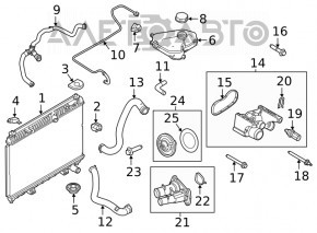 Lower cooling hose for Ford Fiesta 11-19 1.6