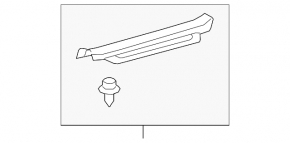 Door sill trim front right Lexus RX350 RX450h 10-15 gray