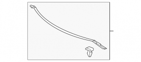 Hood seal Toyota Venza 21- on bumper