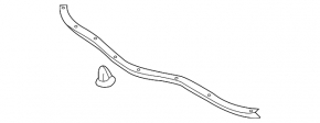 Hood Seal Lexus ES300h ES350 13-18