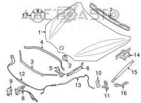 Left hood-wing seal BMW X1 F48 16-22, broken fasteners, torn seal