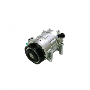 Dodge Challenger 15-23 3.6 Air Conditioning Compressor, Chip Defect