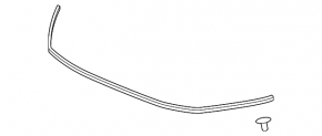 Hood Seal Honda Insight 19-22