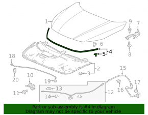 Hood Seal Honda Insight 19-22