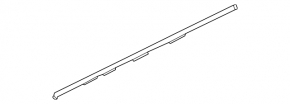 Nissan Sentra 20-24 front left door seal lower