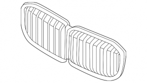 Radiator grille BMW X7 G07 19-25 2023-25, with shadow line