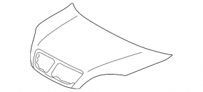 Lexus GX470 03-06 bare hood