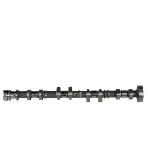 Camshaft Ford Escape 17-19 2.0T intake