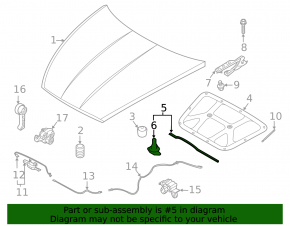 Hyundai Sonata 20-21 Hood Seal