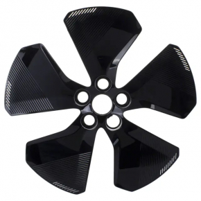 Wheel cap R19 Ford Mustang Mach-E 21-26