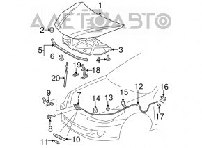 Hood shock absorber Toyota Solara 2.4 04-08