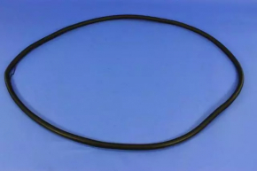 Front left door seal Chrysler 200 15-17