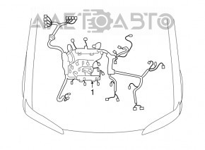 Wiring motor Lexus ES350 07-12