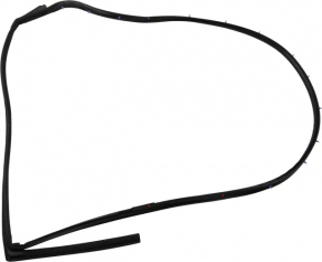 Door seal rear right Nissan Maxima A36 16-