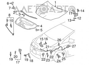 Naked hood Toyota Prius 30 10-15 aluminum, red 3R3