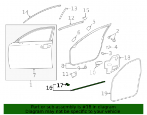 Lexus IS300 IS350 14-25 lower front right door seal
