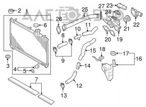 Lower cooling pipe Mitsubishi Outlander 14-15 from radiator, 2.4