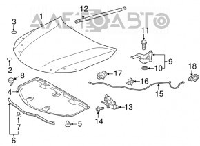 Hood hinge right Lexus ES300h ES350 13-18