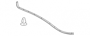 Hood seal on the hood of a Lexus IS 14-20