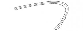 Upper rear right door molding for Lexus CT200h 11-17
