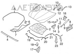 The hood-wing seal, left BMW 5 F10 11-16, has dried out