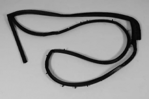 Door seal rear left Dodge Charger 11-