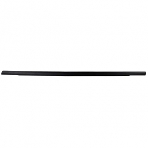 Molding door-glass central front left Ford Ecosport 18-22