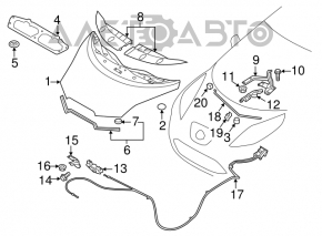 Nissan Leaf 11-17 Hood Support