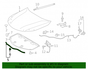 Hood seal front Toyota Avalon 13-18