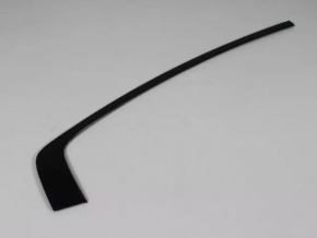 Door molding upper rear right Dodge Charger 11-23