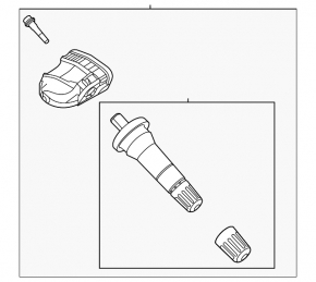 Ford Escape MK4 Wheel Pressure Sensor 23-