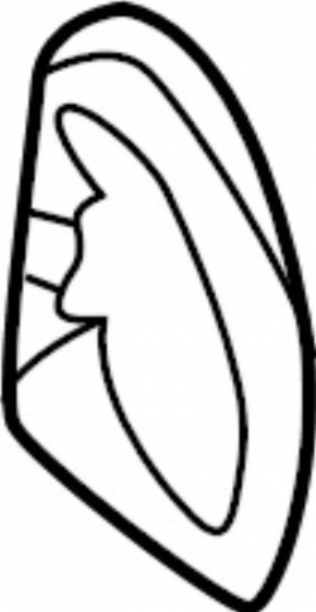 Inner left wing seal Infiniti QX50 19-