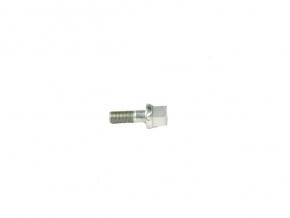 Dodge Dart 13-16 2.0 Crankshaft Pulley Bolt