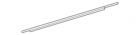 Door-glass molding, center rear left, Toyota Sienna 11-20