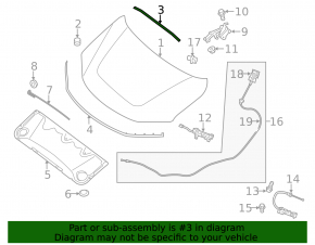 Nissan Pathfinder 13-20 Hood Seal Short