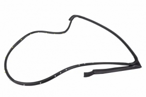 Chevrolet Volt 11-15 rear left door seal