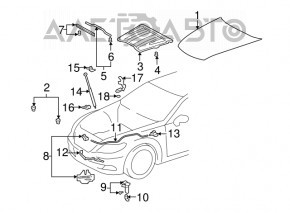 Hood shock absorber right Lexus LS460 LS600h 07-12