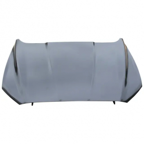 Ford Fusion mk5 13-20 bare hood