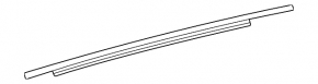 Door molding upper rear left Toyota Sienna 21-25 chrome