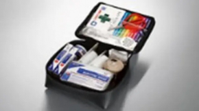 Lexus RX350 RX450h 10-15 First Aid Kit