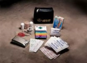 Lexus RX350 RX450h 10-15 First Aid Kit