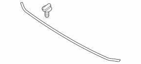 Hood seal on bumper VW Passat b8 16-19 USA