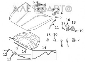 Bonnet bumper left Kia Optima 16-