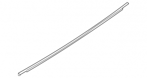Molding door-glass central rear left Nissan Maxima A36 16-23 chrome