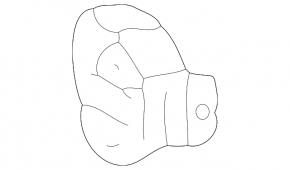 Front right side member nose for Toyota Corolla e12 03-06