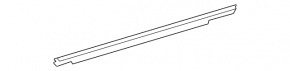 Glass seal inside rear right door Toyota Sienna 21-25