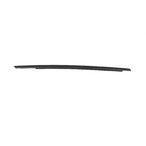 Molding door-glass central front right Dodge Charger 11-23