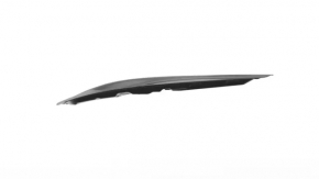 Naked hood Dodge Charger 15-20 rest SRT Hellcat under 3 air ducts