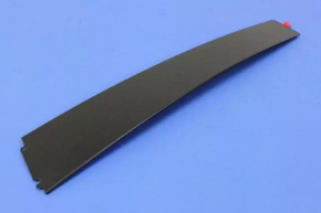 Door trim side rear right Dodge Charger 11-
