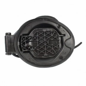 Ford Escape MK3 13-19 Fuel Filler Door Housing